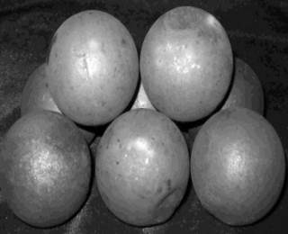 ��ĥ���ϸ��t��(y��ng)����r��B